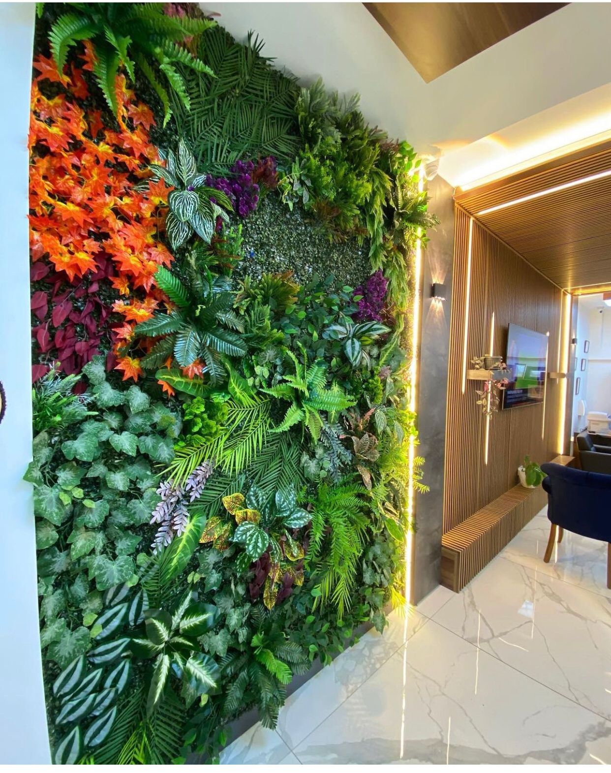 WhatsApp Image 2023-10-09 at 17.27.38